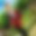 BandLab banner for @regin