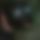 BandLab banner for @infernal