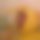 BandLab banner for @binge