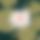 BandLab banner for @disappearing