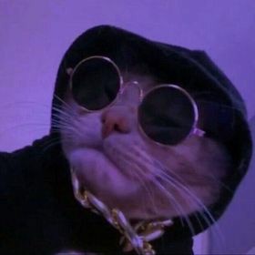 BandLab profile picture for @summarizes
