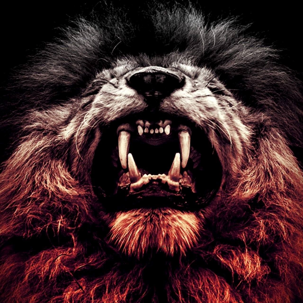BandLab profile picture for @deserter