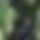 BandLab banner for @tizzy