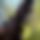 BandLab banner for @pichet