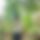 BandLab banner for @sixties