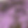 BandLab banner for @affection