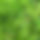 BandLab banner for @somplak