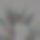 BandLab banner for @iraqi
