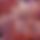 BandLab banner for @hoot