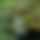 BandLab banner for @eloszka