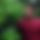 BandLab banner for @paulo12345