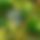 BandLab banner for @moko