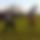 BandLab banner for @ibon