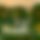 BandLab banner for @teddyf