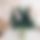 BandLab banner for @pinkroses