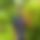 BandLab banner for @nadimkhan
