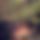 BandLab banner for @tyson21