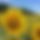 BandLab banner for @eyelash