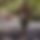 BandLab banner for @eopedriin