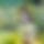 BandLab banner for @saha