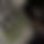 BandLab banner for @exxel_dk