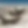 BandLab banner for @unqualified