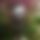 BandLab banner for @jaya