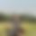 BandLab banner for @abused