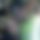 BandLab banner for @tabby