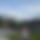 BandLab banner for @leozinho