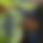 BandLab banner for @beam