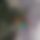 BandLab banner for @deny