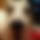 BandLab banner for @donkeys