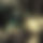 BandLab banner for @lavished