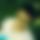 BandLab banner for @nihan