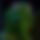 BandLab banner for @frightened