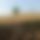 BandLab banner for @deserting