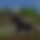 BandLab banner for @vioxx