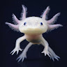 BandLab profile picture for @ummutluu