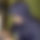 BandLab banner for @favourites