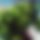 BandLab banner for @cardiac