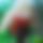 BandLab banner for @extern