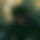 BandLab banner for @mustache
