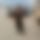 BandLab banner for @gaggle