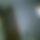 BandLab banner for @hungary