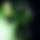 BandLab banner for @creepers