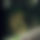 BandLab banner for @ikzzztape