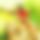 BandLab banner for @kavin