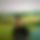 BandLab banner for @iamr