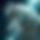 BandLab banner for @samvel